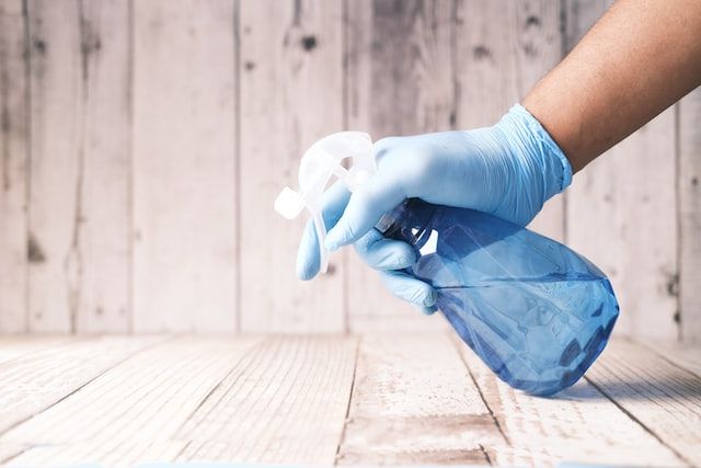 weekly home cleaning